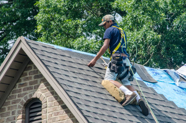 Best Best Roofing Contractors  in East Dundee, IL